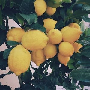 Meet your Posher, Arya